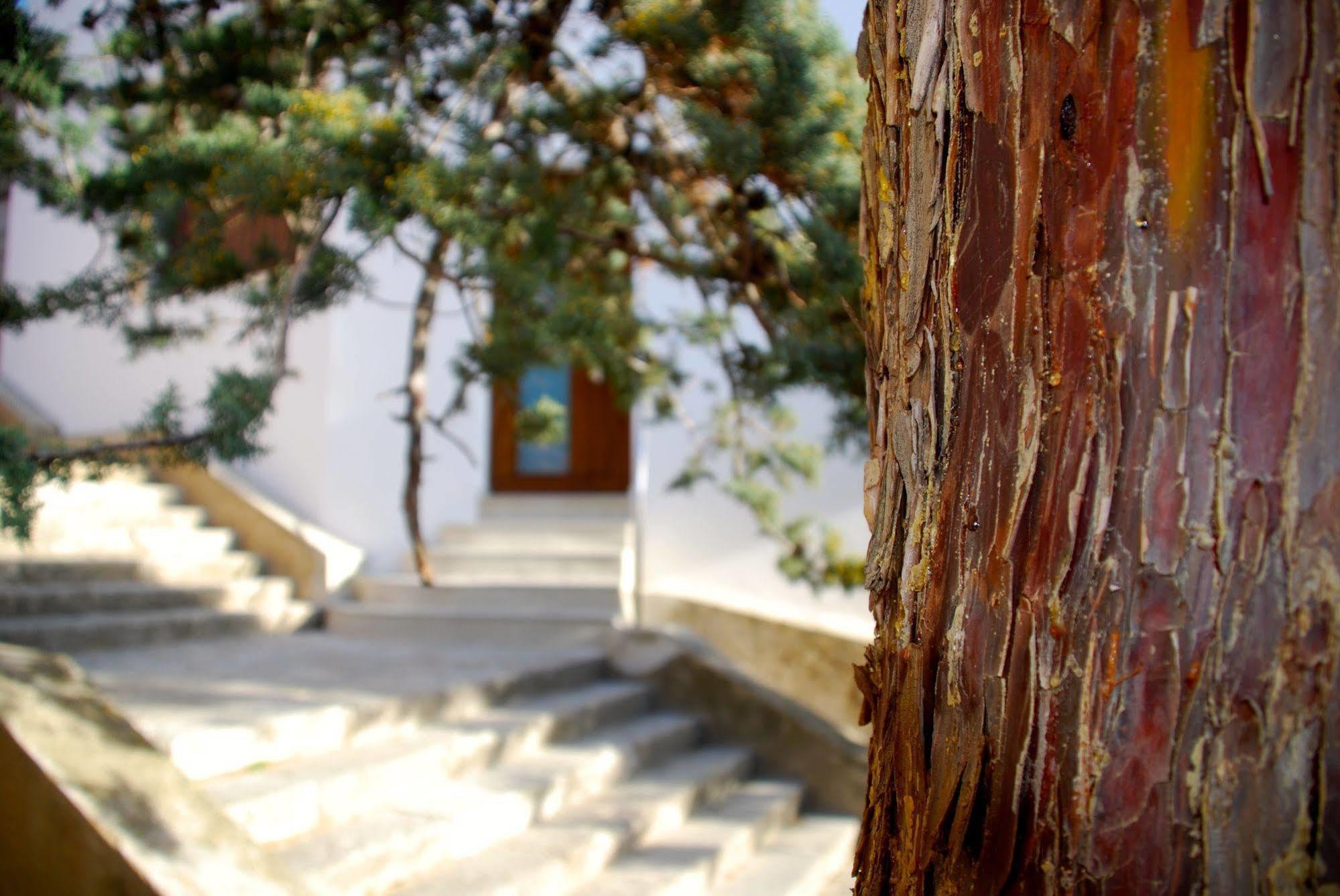 Apartamento Rural Castillo De Yeste 2 Pax (Adults Only) Luaran gambar
